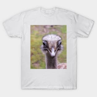 Portrait of common ostrich T-Shirt